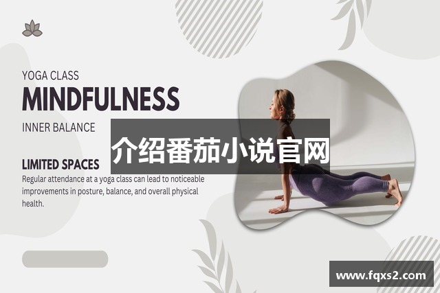 介绍番茄小说官网